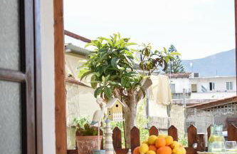 Raeti Cretan Guesthouse - Foto 15