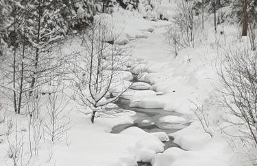 Villa Eva & Lilou Pod Rysianką - Foto 46