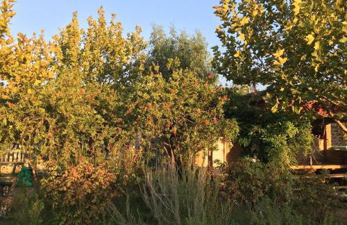 House on beach, Lesvos Nifida, Mytilene beach - Photo 48