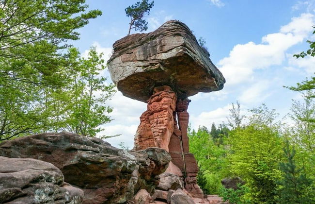 Waldzauber Comfortable Holiday Residence - Photo 15