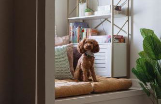 Sage Haven #1 - Foto 12