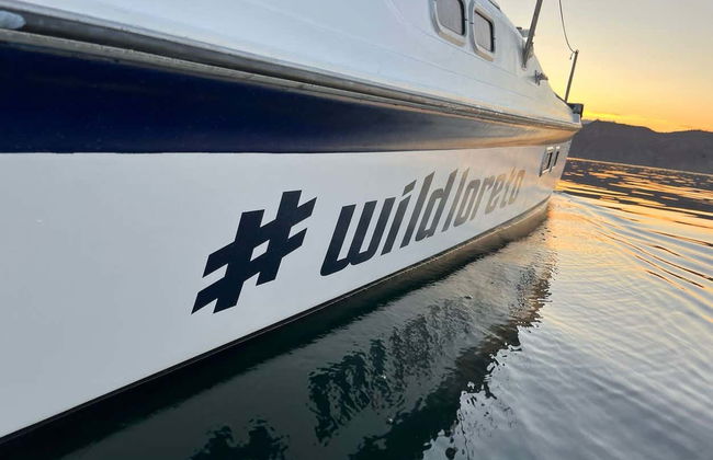 Balade en bateau au coucher du soleil - Photo 6