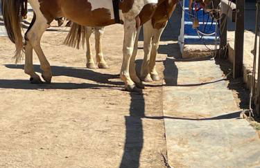 Luxury 2 Bedroom Villa on Quinta da Saudade - Foto 51