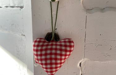 Siedlisko Blanki - Foto 73