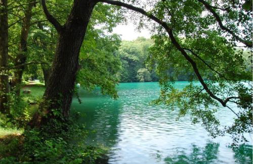 Luna Apartament Łagów Klima Smart Tv - Foto 27