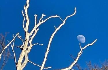 Apartamenty nad morzem Przy Klifie 2 Dębina - Foto 60