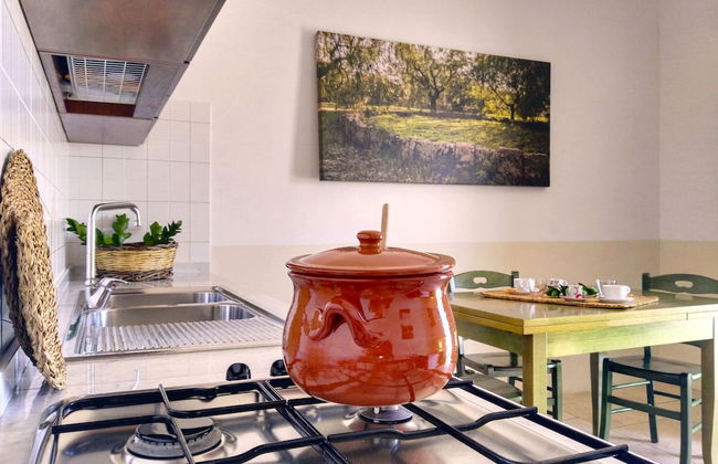 Azienda Agricola Francesca Stajano - Foto 30