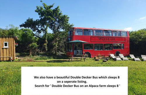 Dartmoor Reach Alpaca Farm - Foto 36