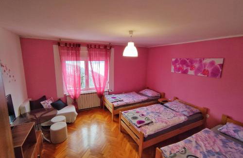 Discover the magic of nature - Foto 23