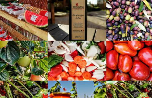 Agriturismo Rosa Antica - Foto 26