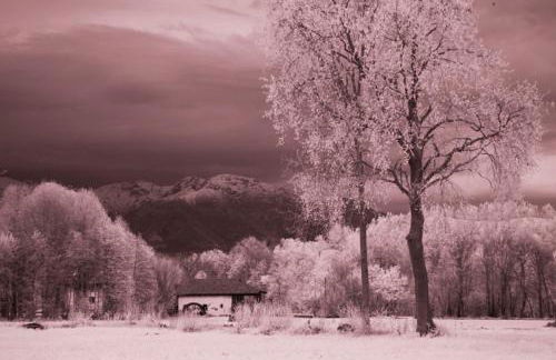 Il Vecchio Mulino di Bairo - Foto 33