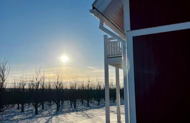 Muggelhuus das Ferienhaus im Alten Land / Pflaumenbaum - Photo 60