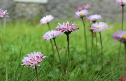 Casa da Avó - Turismo Rural - Foto 24