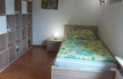 Hillis Ferienwohnung Saarland - Foto 16