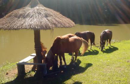 Hotel Fazenda Bandeirantes - Foto 16