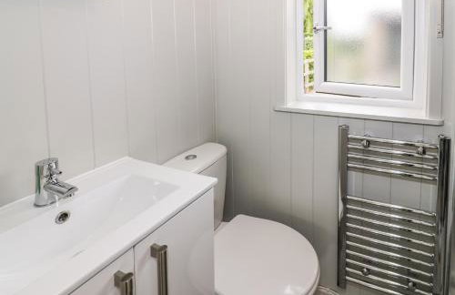 Alstroemeria - Photo 9