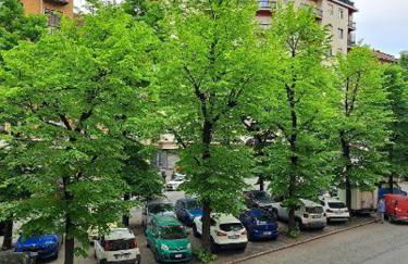 Bilocale San Paolo - Foto 19