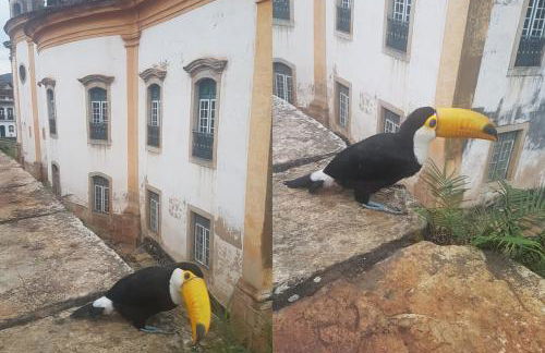 º Real Central Suite º - Photo 28