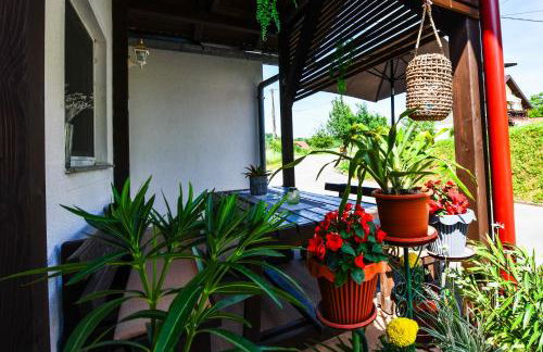 Apartman Katja - Foto 34