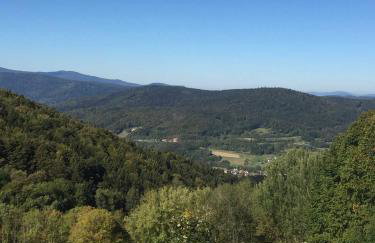 Ferienland Sonnenwald Fewo 46 - Foto 37