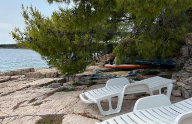 Nada Apartment, Uvala Koramaslinova, Brač - Photo 30