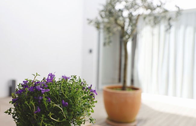 RIBEIRA FLORES 59 Downtown Apartments - Foto 66