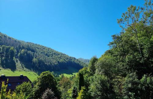 Das-Urlaubszuhause-fuer-Familien-Grossfamilien-Mehrfamilien-und-kleine-Gruppen-bis-zum-12-Personen-mit-vielen-Unterhaltungsmoeglichkeiten-im-Harz - Foto 42