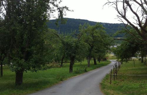 Ferienwohnung Heike - Foto 12