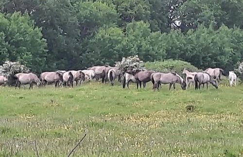 Wormshöft 16 - Foto 45