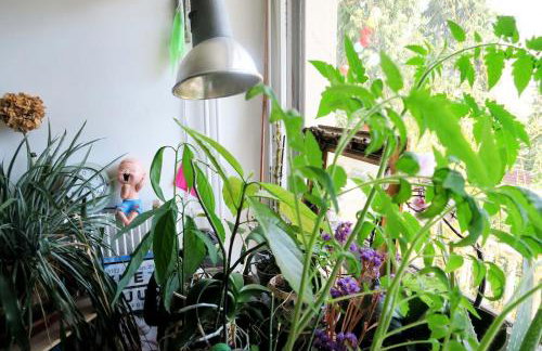 Beau 4 pièces dans coin de verdure - Foto 26
