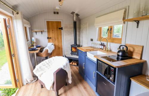 Cariad Mawr - Photo 8