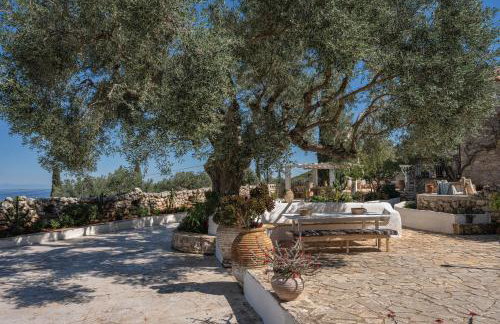 Louiza - Luxury Stone Villa - Foto 10