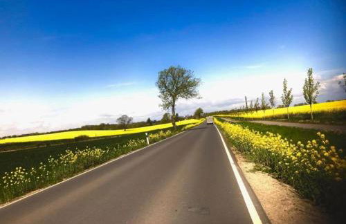 Moderne Ferienwohnung in Kluetz in Strandnahe - Foto 158