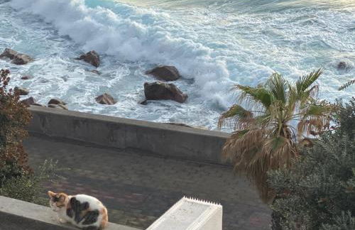 CASA DO MAR - Foto 48