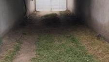 Recanto dos pássaros - Foto 2