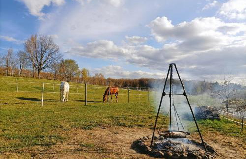 Siedlisko Dwa Żurawie - Uroczy domek nad stawem, z kominkiem, obok konie - Foto 8