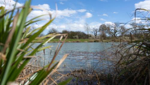 Willow Cottage - Foto 5