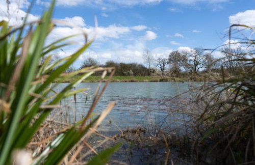 Willow Cottage - Foto 5