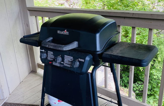 Riverview 1 Bedroom Cabin by RedAwning - Photo 14