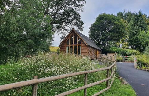 Swn Y Nant Lodge with hot tub Brecon - Foto 6