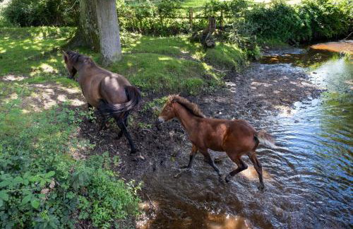 The Lookout - Foto 24
