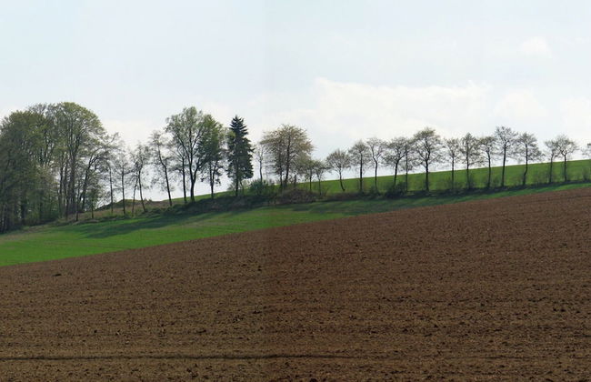 Holiday Home in Mielinghausen Near ski Area - Foto 31