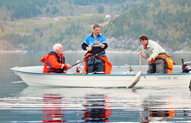 Holiday Home in EidsvÃ¥g - Foto 44