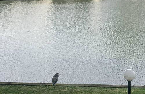 Lakeside Daze! - Foto 53