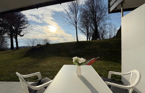 FeWo Pool, Sauna, Wellness, Gartenterrasse ENGELMEER - Foto 8