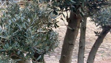 La Maison Clémenso - Foto 4