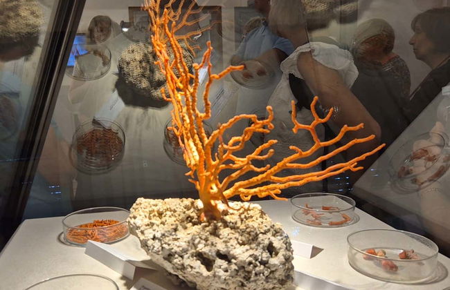 Night Tour of Alghero + Coral Museum - Photo 4