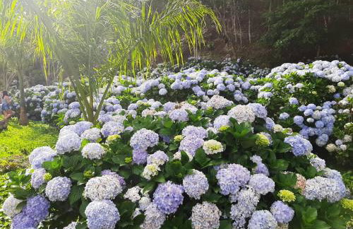 Chalé Pakere Montanha Lumiar - Conforto a mais de 1000 metros de altitude junto a natureza, wifi, piscina, sauna e água de nascente - locação do chalé sem prestação de serviços - Foto 30