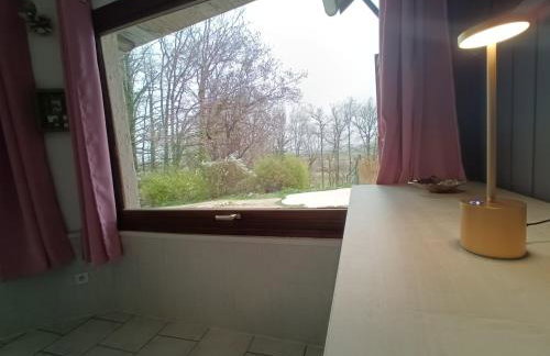 La véranda au domaine de Tara - Foto 9