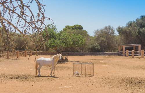 Finca Sonduri - Foto 57